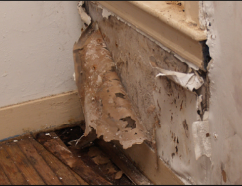 Advice-on-damp-problems