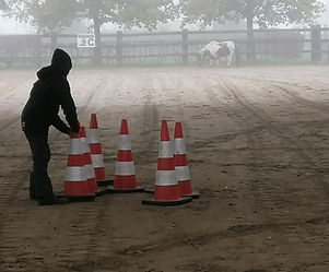 Equine Assisted Therapy.jpg