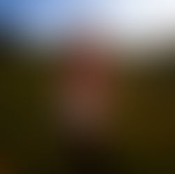 A New Chapter Begins With Kelly Reynolds’ “Live A Little”