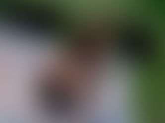 Ella Collier’s “DON’T FOLLOW ME” Just Changed Our Playlist—and Our Outlook