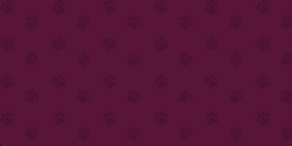 banner.png