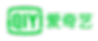 爱奇艺LOGO.png