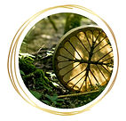 schamansiche Trommel_edited.jpg