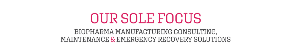 sole focust lockup 5.png