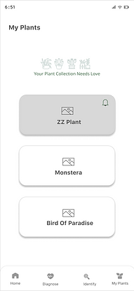 My Plants (2).png