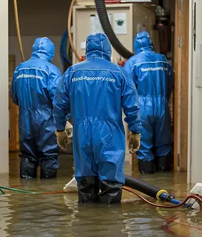 factory restoration.webp