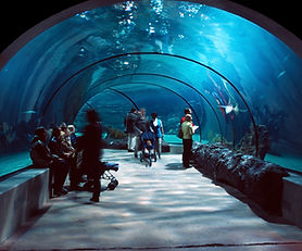 SeaLife Ocean 