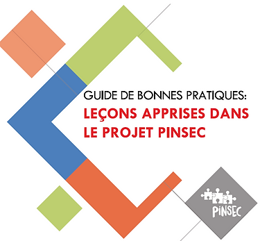Bonne pratiques_PINSEC.png