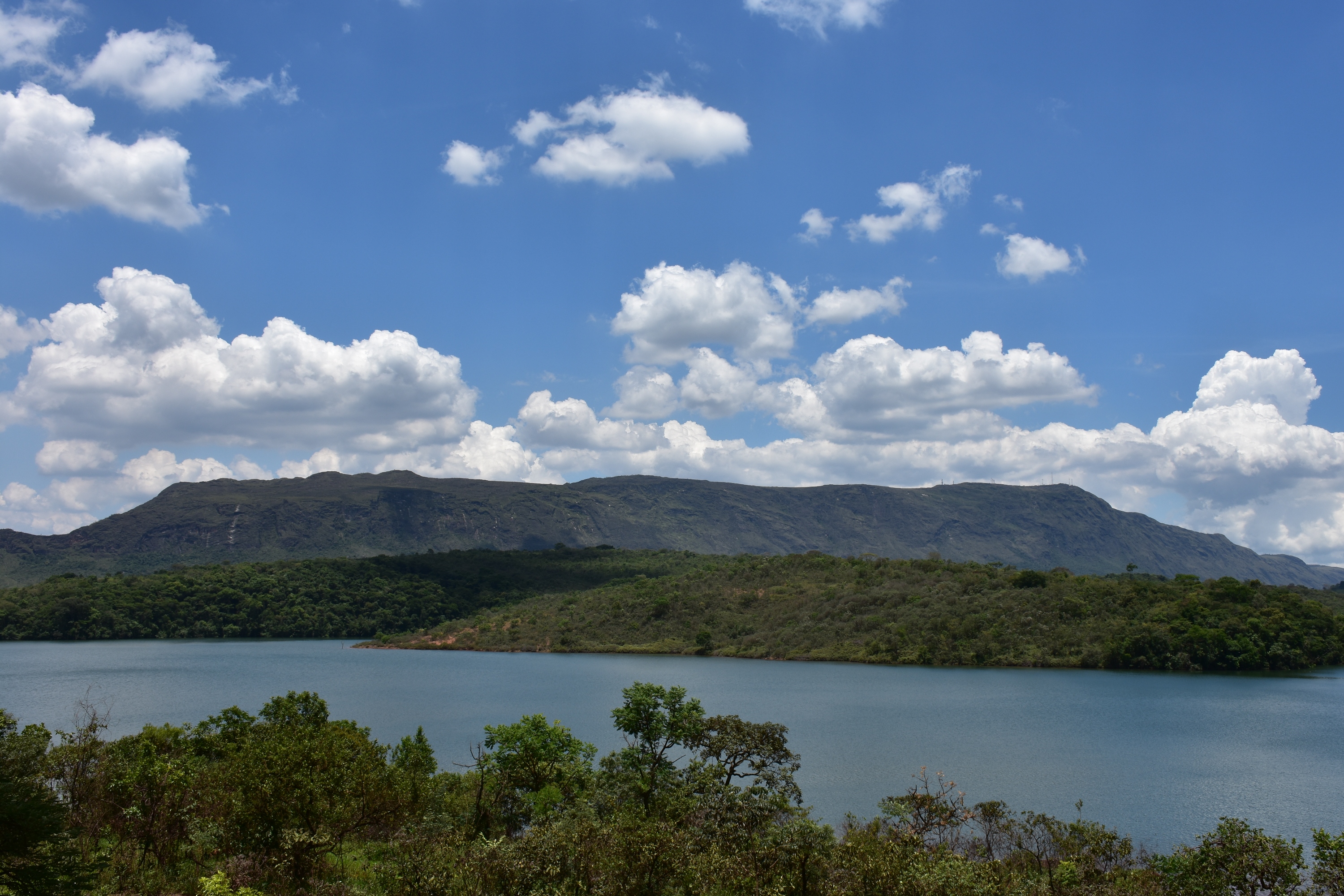 Monitoramento Ambiental e Invasões