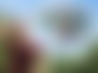 The Great Wealth Transfer: How It’s Shaping Massachusetts Real Estate