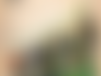 🏆 Boston Championships & Boston Home Values