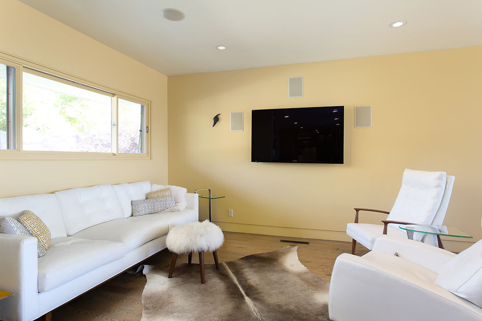 Utah Mid-Century Modern Living Area
