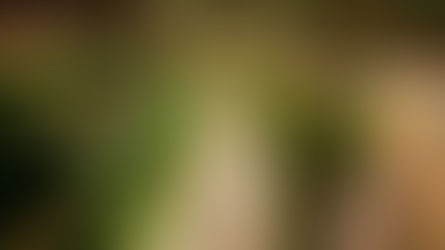 Exploring Namba: 5 Must-Do Activities in Osaka's Vibrant District