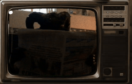 istockphoto-1160774832-640x640 (2).gif