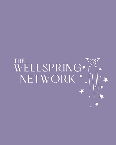 Wellspring network image.png