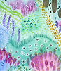 TEST IMAGE.PNG