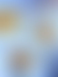 עוגת פסטילה רוסית מתפוח וחלבונים ללא קמח