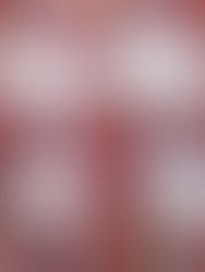 עוגיות טריפל שוקולד מושחתות ובריאות בו זמנית מקמח עדשים ושקדים ללא גלוטן