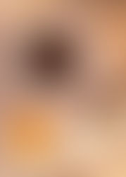 גרנולה שוקולד ואוכמניות