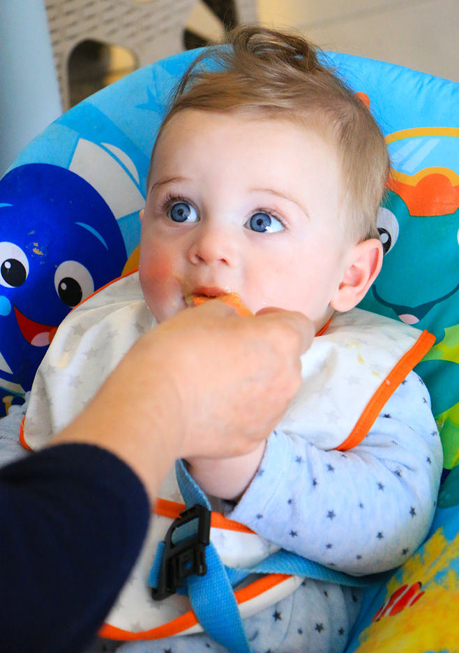 כל מה שרצית לדעת על טעימות ו-baby led weaning