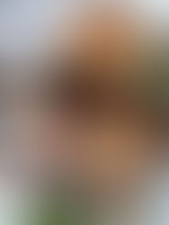 עוגת יאקון ותבלינים לחורף