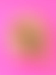 עוגת ריקוטה קנולי איטלקית