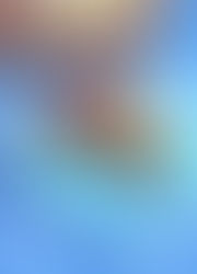 פאי שוקולד ללא גלוטן טבעוני