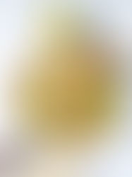 פיצה אבוקדו עם פנקייק מלוח גרמני ענק 