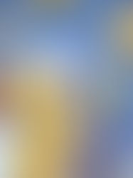 זפיר תפוחים ודבש ביתי