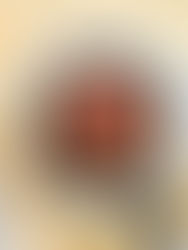 Matzo Brei מצה בריי מטוגנת עם קינמון