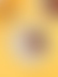 גלידת שוקולד מריר וקרם קוקוס