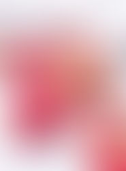 חלה ורודה עם סלק וקמח שיבולת שועל / כוסמין בריאה יותר