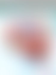 עוגת ריקוטה קינואה עם פטל שחור לשבועות