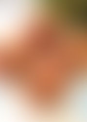 מיני מאפינס אפרסק לפיקניק מושלם