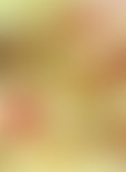 עוגת טחינה מייפל ופקאן