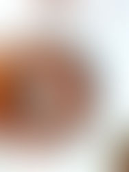 עוגת מולסה ואגוזי לוז עם תה לבן