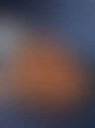 עוגת גזר ותבלינים מקמח כוסמין מלא ושמן זית