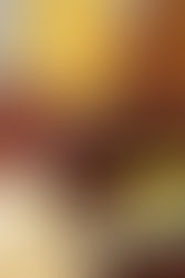 עוגת דבש, תמרים ושוקולד מקמח כוסמין