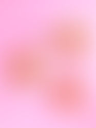 עוגת גזר, אגוזים ומשמשים ללא גלוטן לכבוד פסח