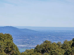 mt dandenong.jpg