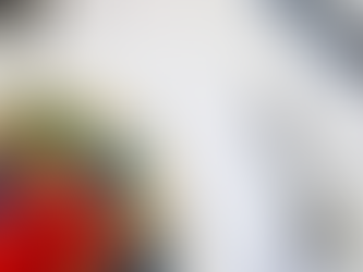 "Faleminderit" vuol dire "Grazie"