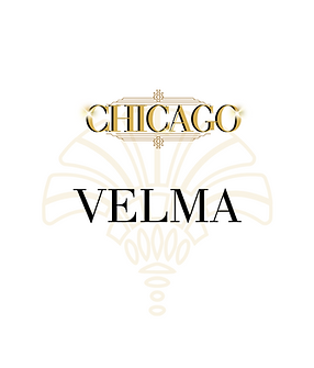 Chicago Social Media and Marketing (1).png