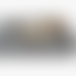 Essential Starter Kit for New Dog Owners: Must-Have Items for a Happy and Healthy Puppy