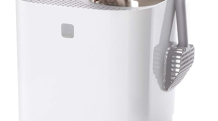 Find the Purr-fect Fit: Top 3 Cat Litter Boxes