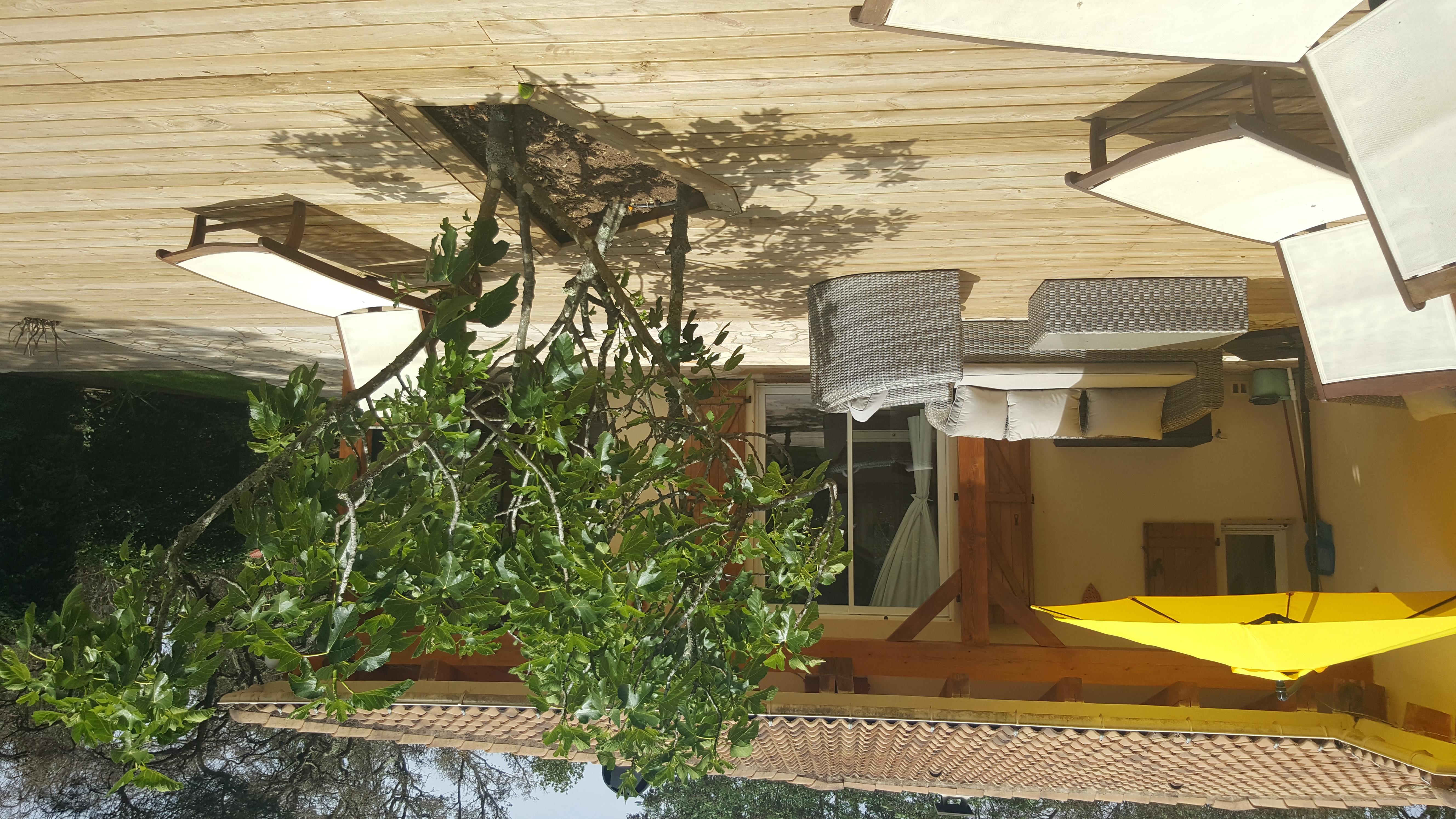 Ferienhaus korsika, beheizter Pool
