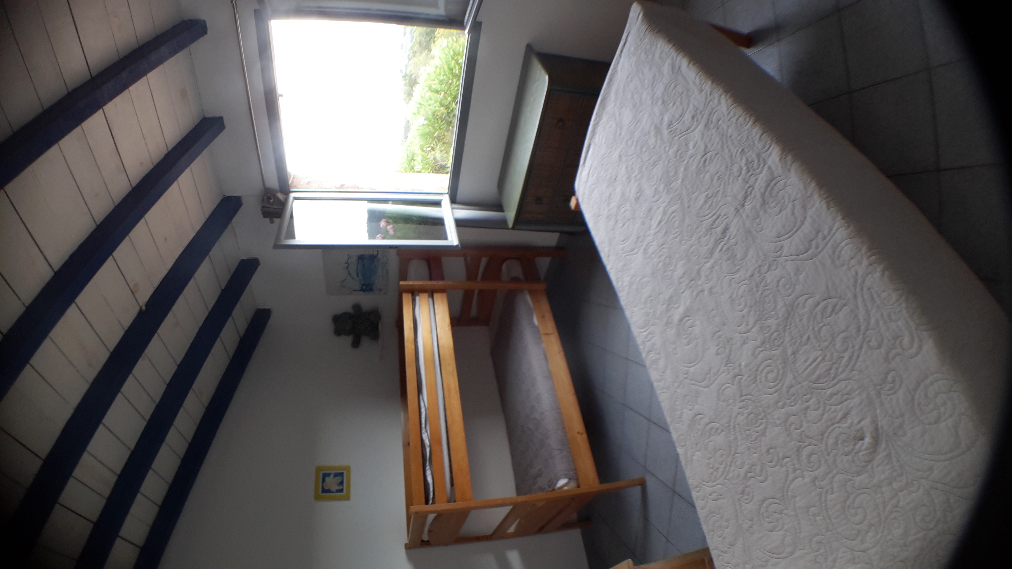 Korsika Ferienhaus mit Hund mieten