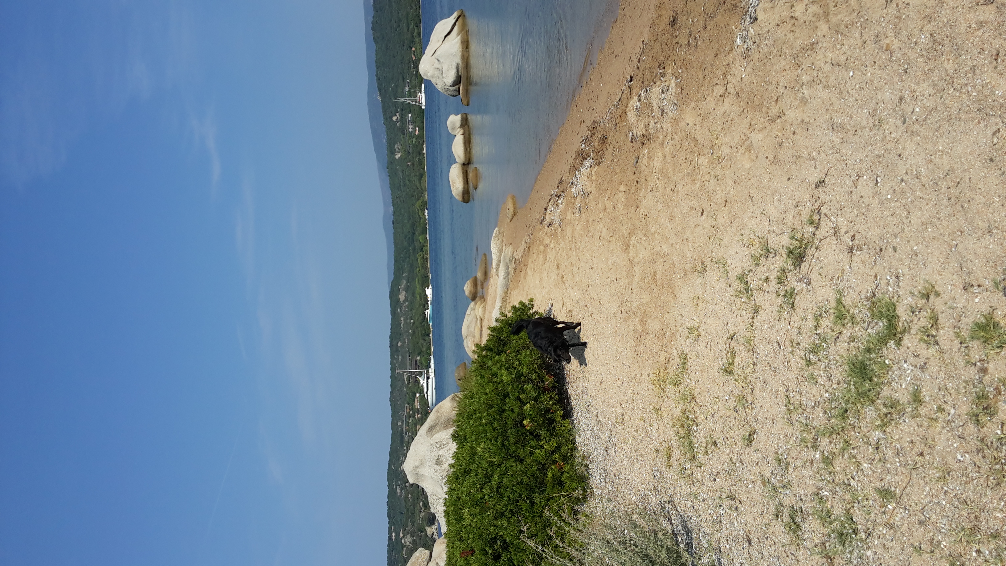 Korsika Ferien mit Hund, strandnah