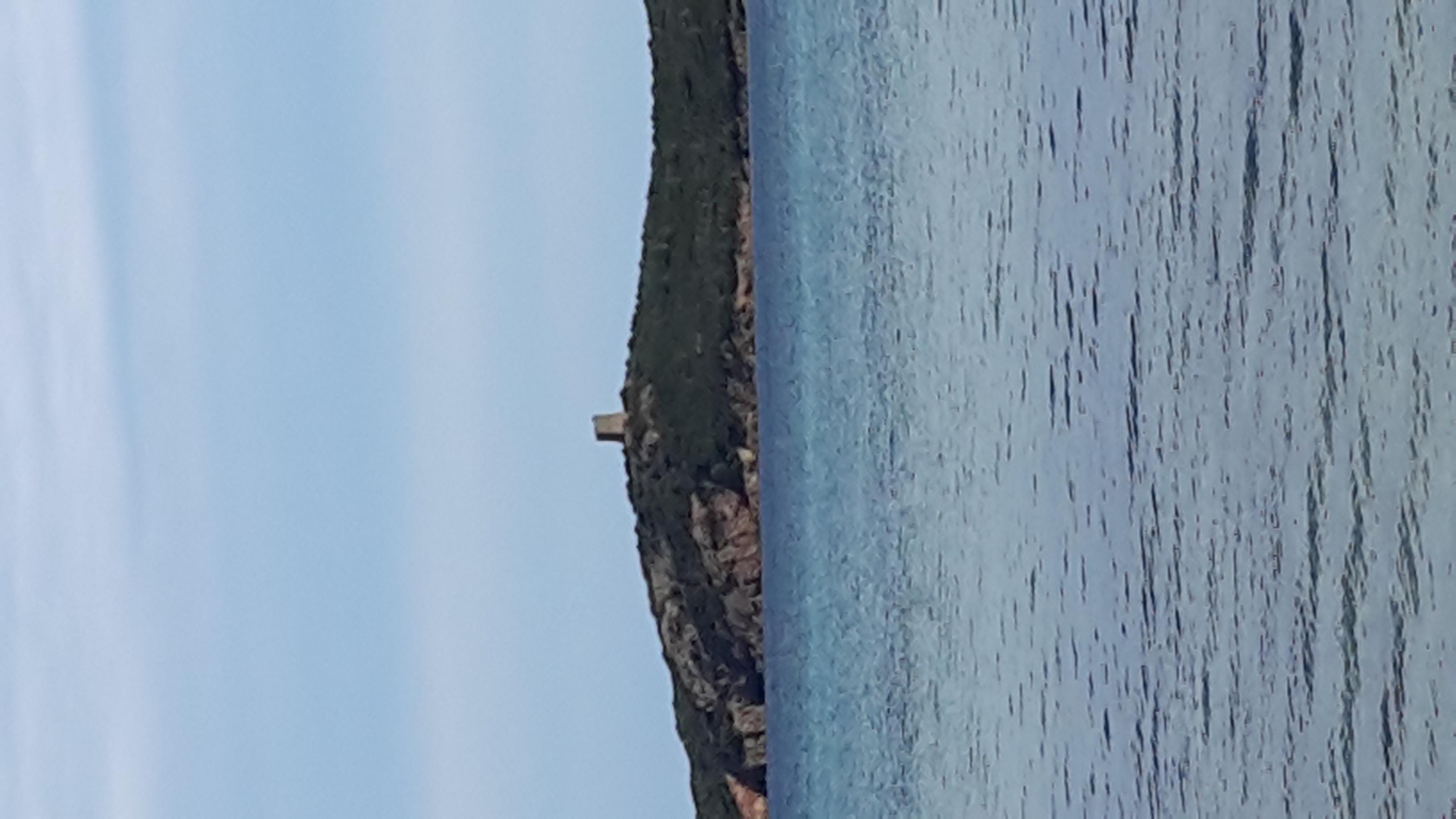 Korsika Fewo mieten