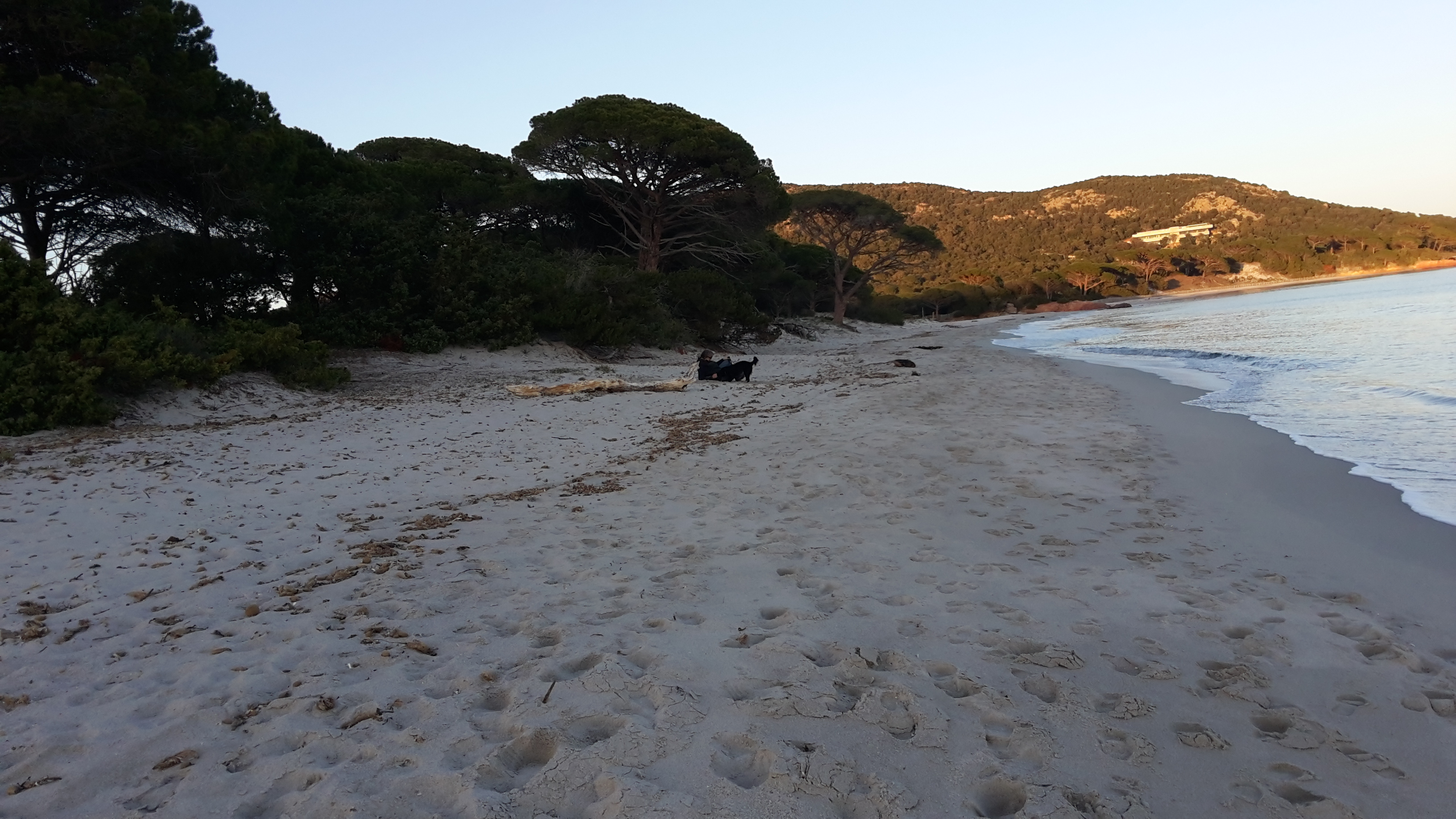 corse locations-vacances .fr