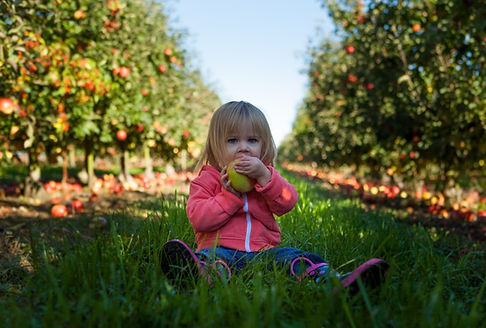 Organic Fruit Farm (16).webp